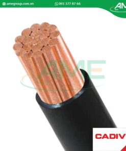 Cáp hạ thế CV CADIVI 50-0.6/1kV