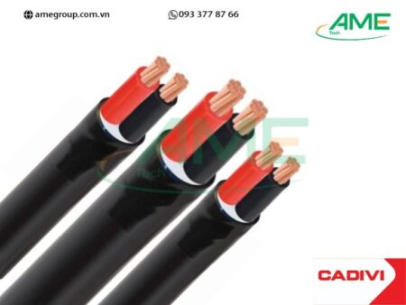Cáp hạ thế CVV CADIVI 2×4-300/500V