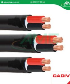 Cáp hạ thế CVV CADIVI 2×4-300/500V