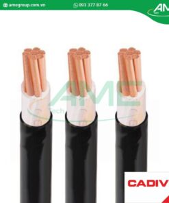 Cáp hạ thế CXV CADIVI 120-0.6/1kV