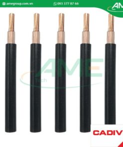 Cáp hạ thế CXV CADIVI 50-0.6/1kV