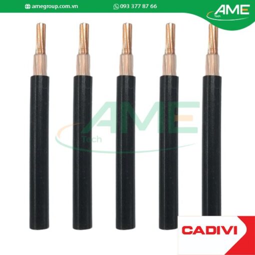 Cáp hạ thế CXV CADIVI 50-0.6/1kV