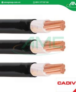 Cáp hạ thế CXV CADIVI 70-0.6/1kV