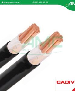 Cáp hạ thế CXV CADIVI 95-0.6/1kV