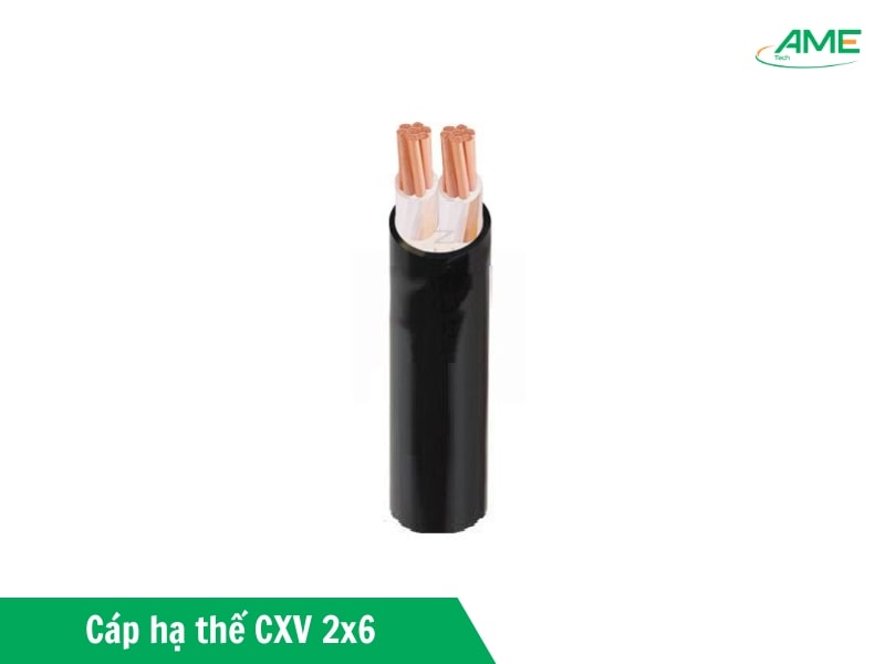 Cấu trúc dây điện CXV 2x6mm