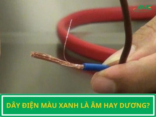 day-dien-mau-xanh-la-am-hay-duong