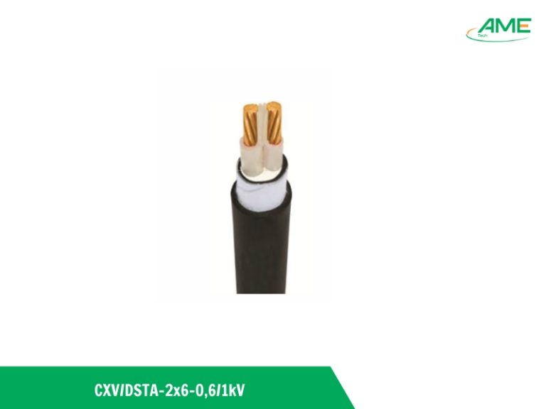 CÁP ĐIỆN LỰC HẠ THẾ CÓ GIÁP BẢO VỆ CXVDSTA-2×6-0,61KV