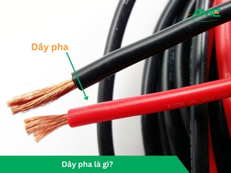 dây pha là gì