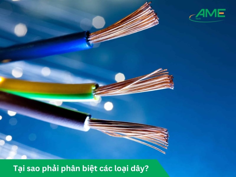 Tại sao phải phân biệt các loại dây?