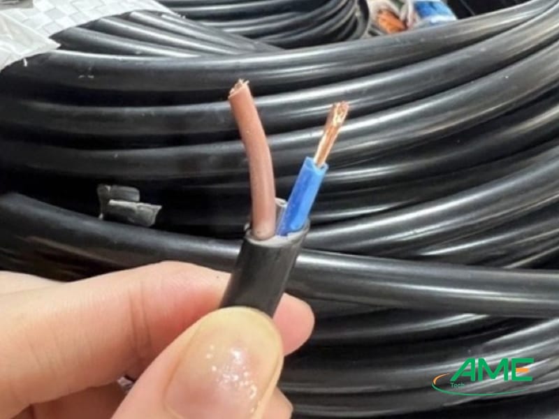 Cáp điện Lion Khánh Hòa