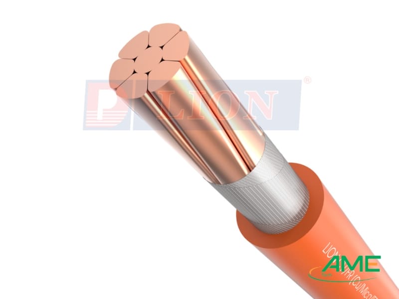 Dây điện chống cháy Lion CV_FR-2.5-0.6_1kV Dây điện chống cháy Lion CV_FR-2.5-0.6_1kV