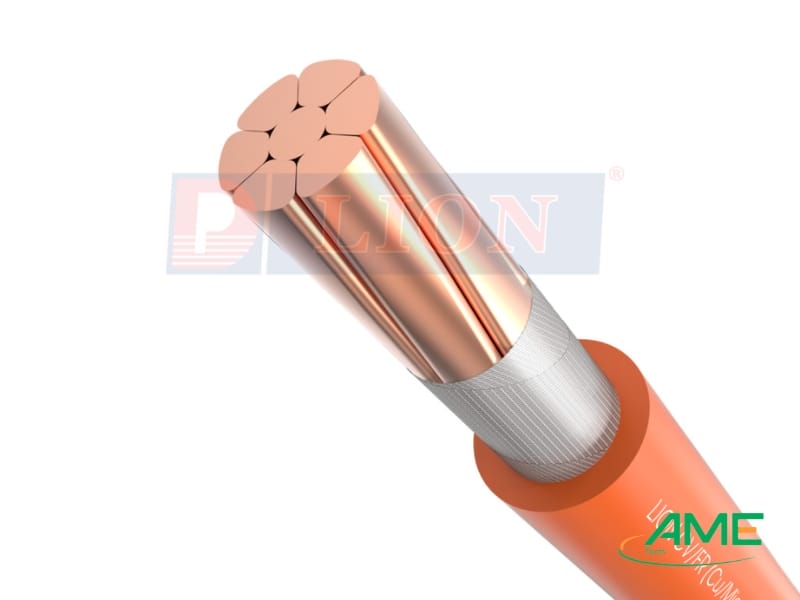 Dây điện chống cháy Lion CV_FR-2.5-0.6_1kV