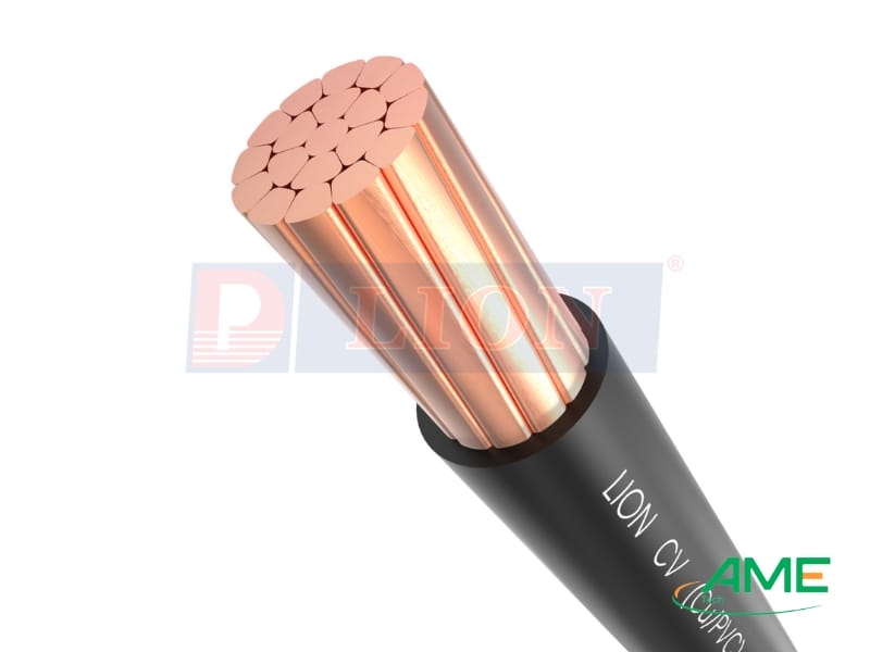 Dây điện chống cháy Lion CV_FR-2.5-0.6_1kV