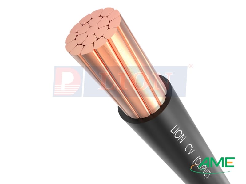 Dây điện đơn Lion CV-4-0.6_1kV
