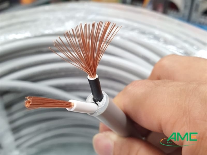 Vì sao nên chọn mua cáp điện Lion tại Ninh Bình?